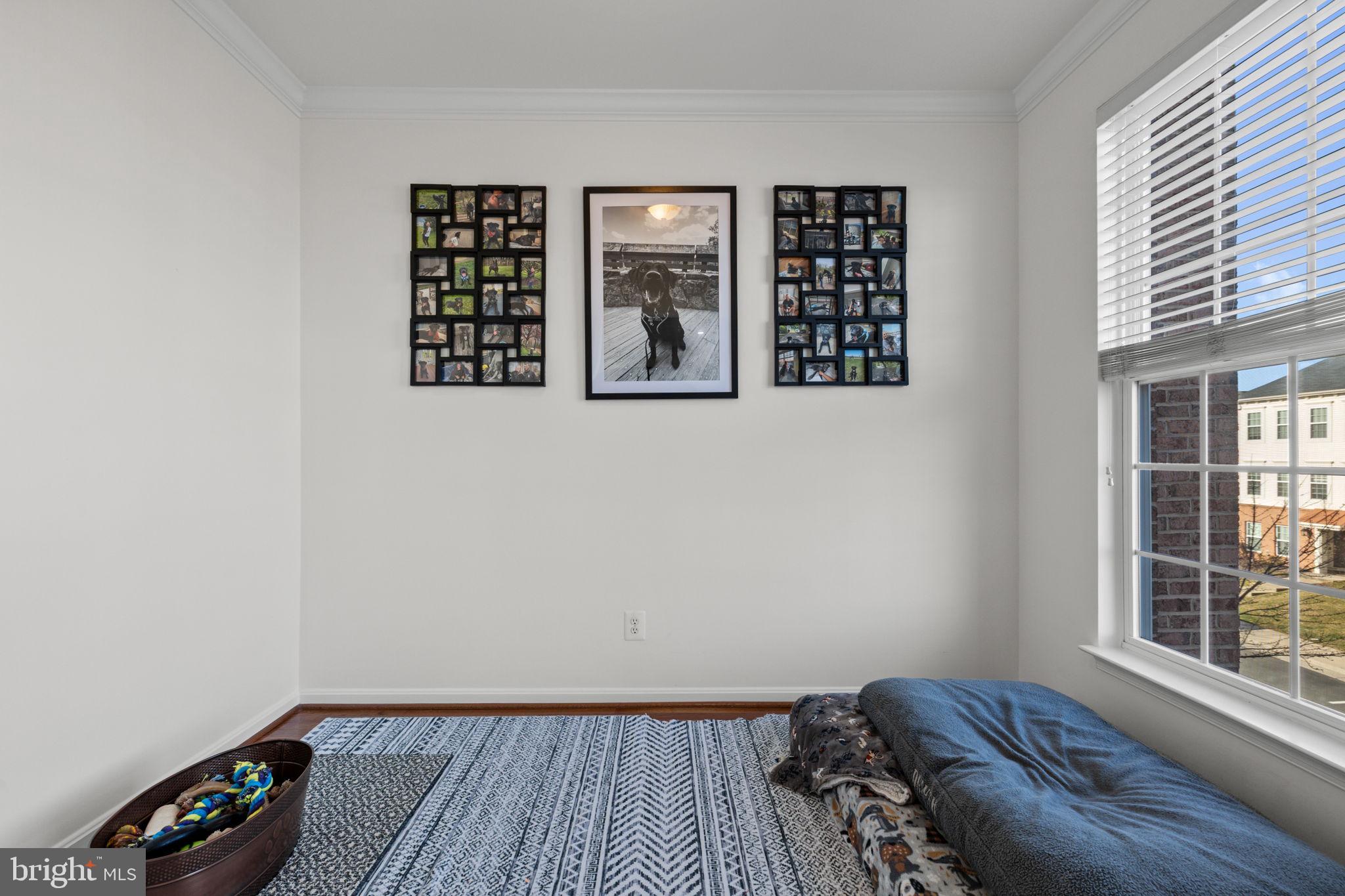 6257 ASTER HAVEN CIRCLE