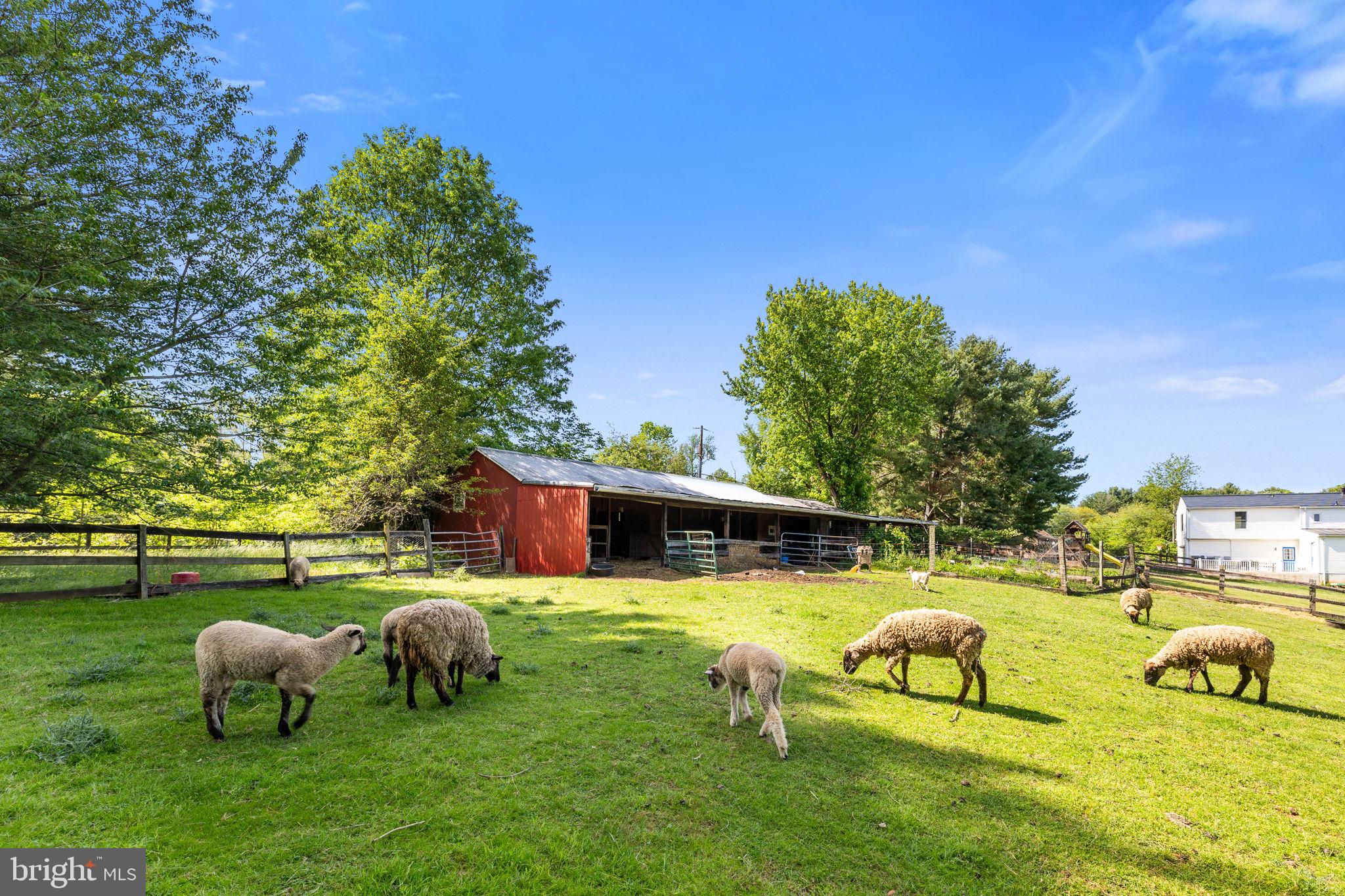 4301 MOUNTAIN VIEW DRIVE