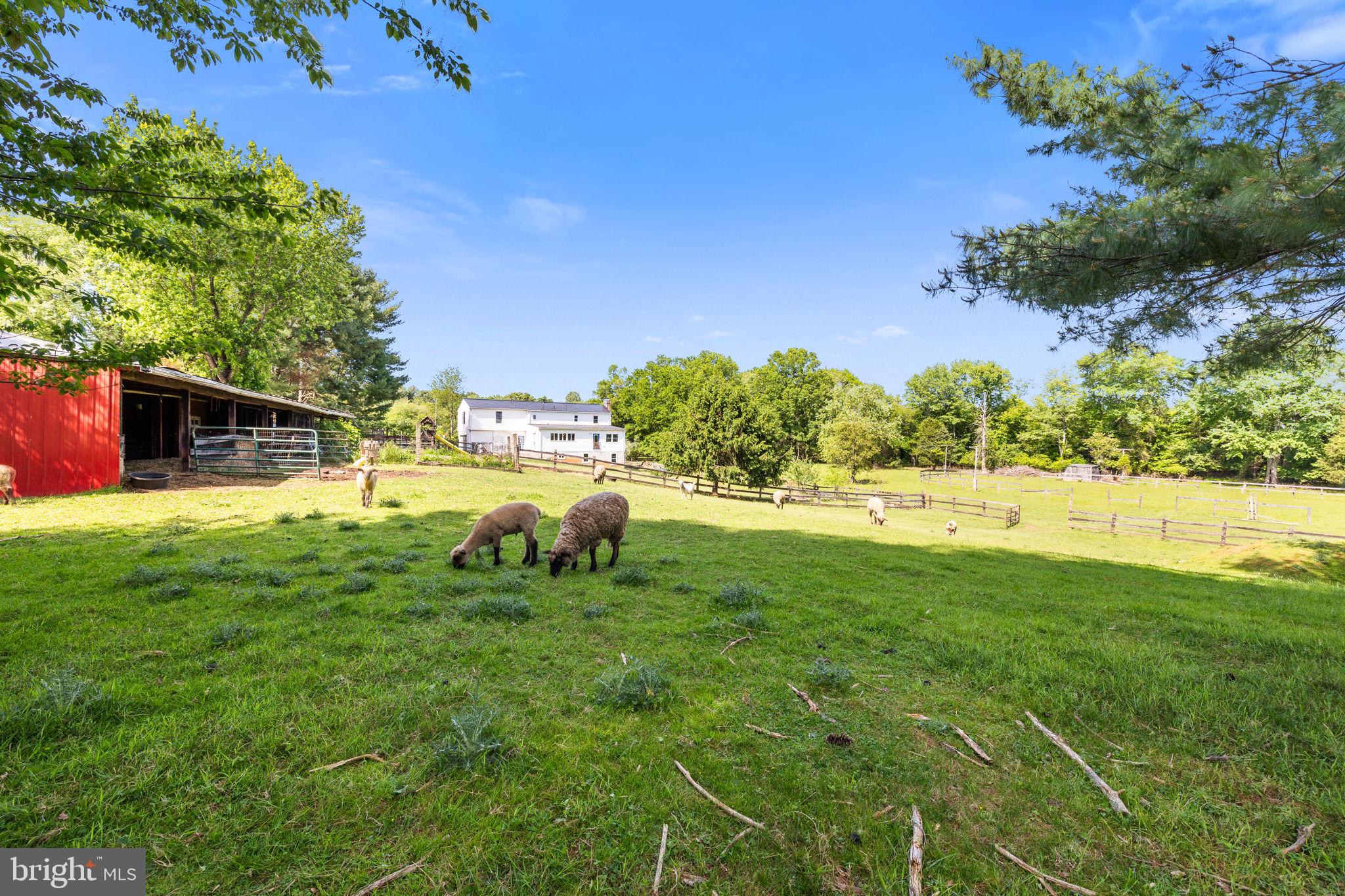 4301 MOUNTAIN VIEW DRIVE