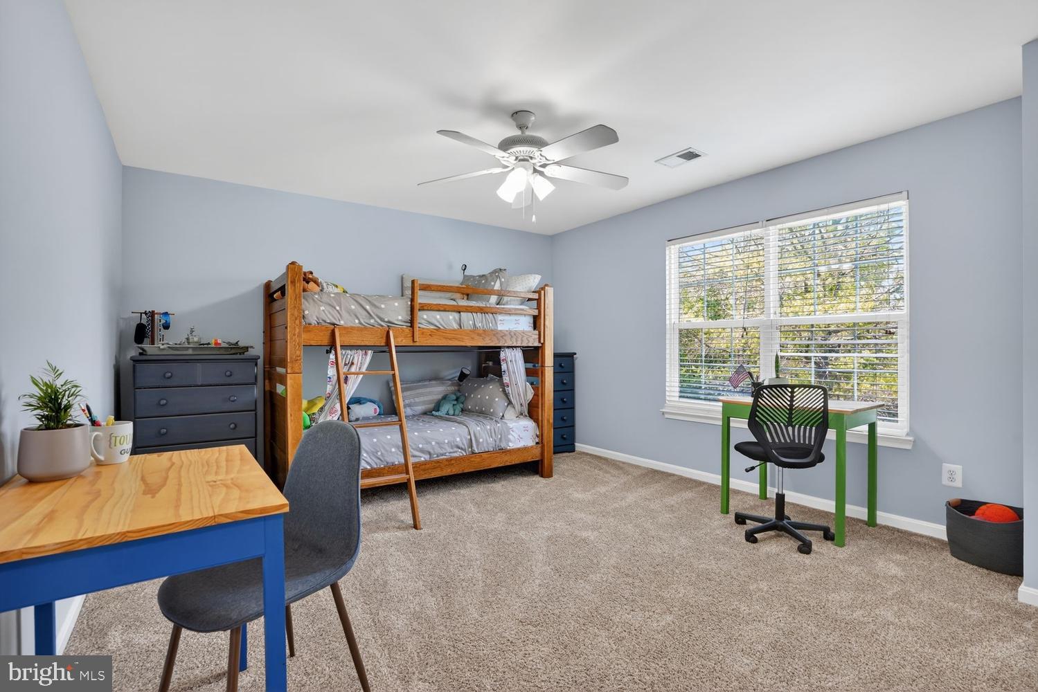 10032 NAUGHTON COURT