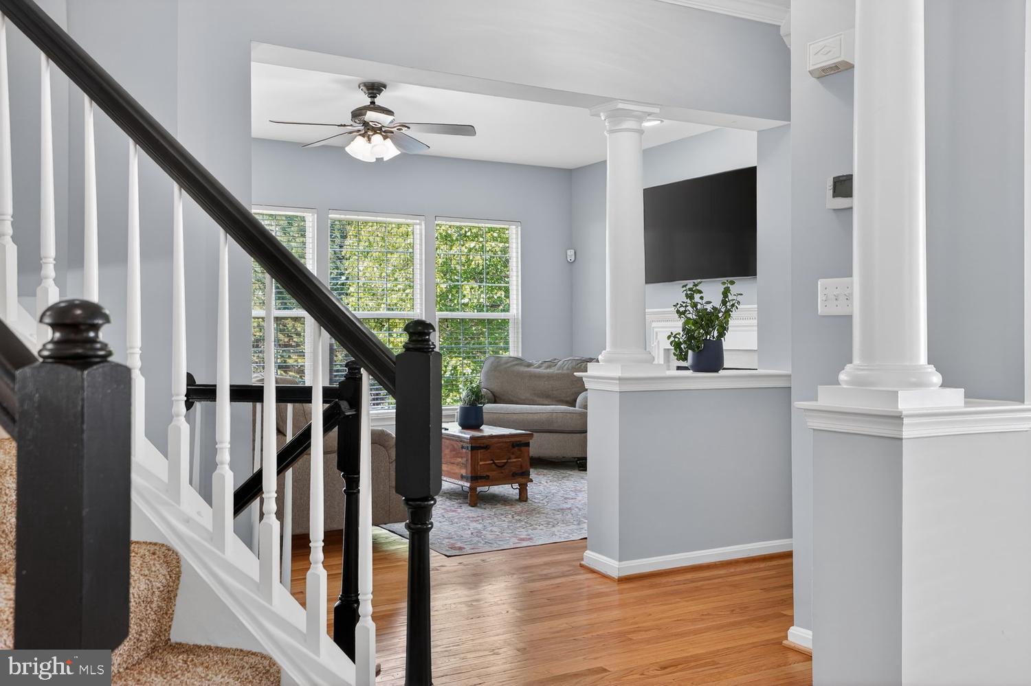 10032 NAUGHTON COURT