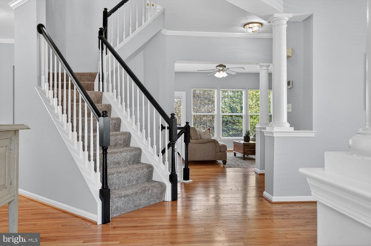 10032 NAUGHTON COURT