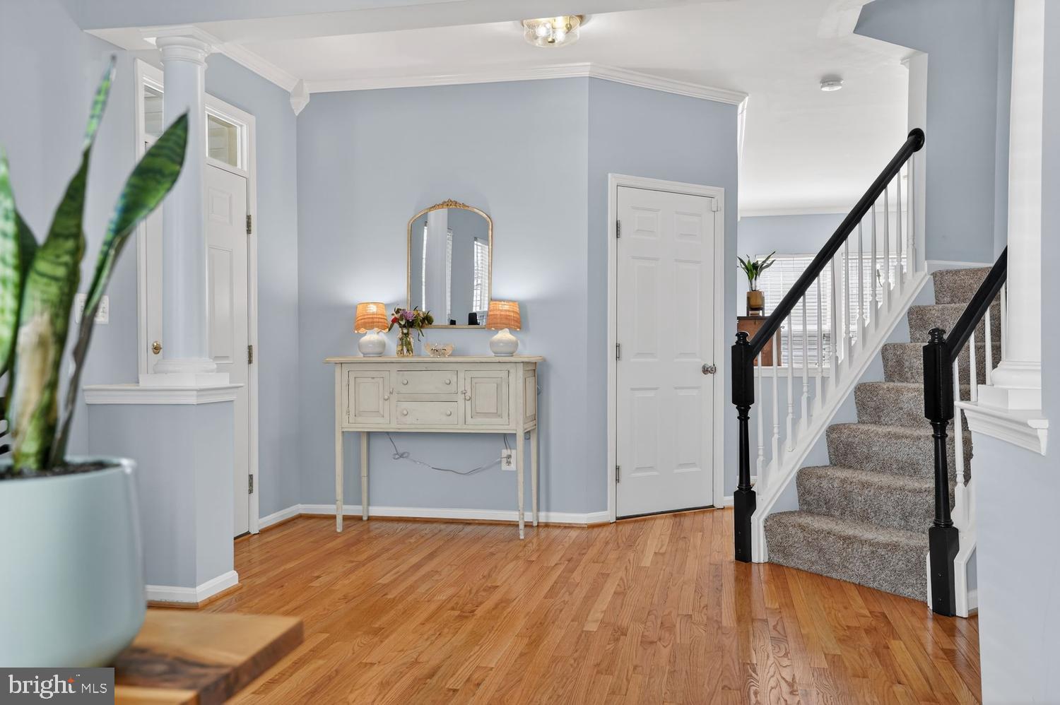 10032 NAUGHTON COURT