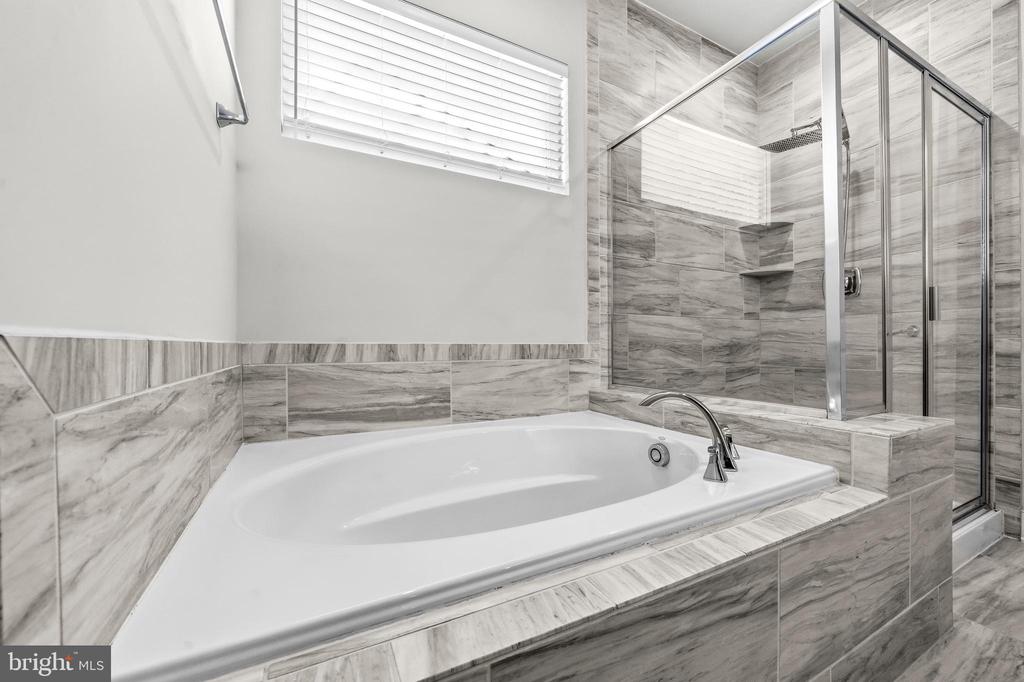 2020 SILVER SYCAMORE LANE