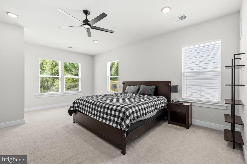 2020 SILVER SYCAMORE LANE
