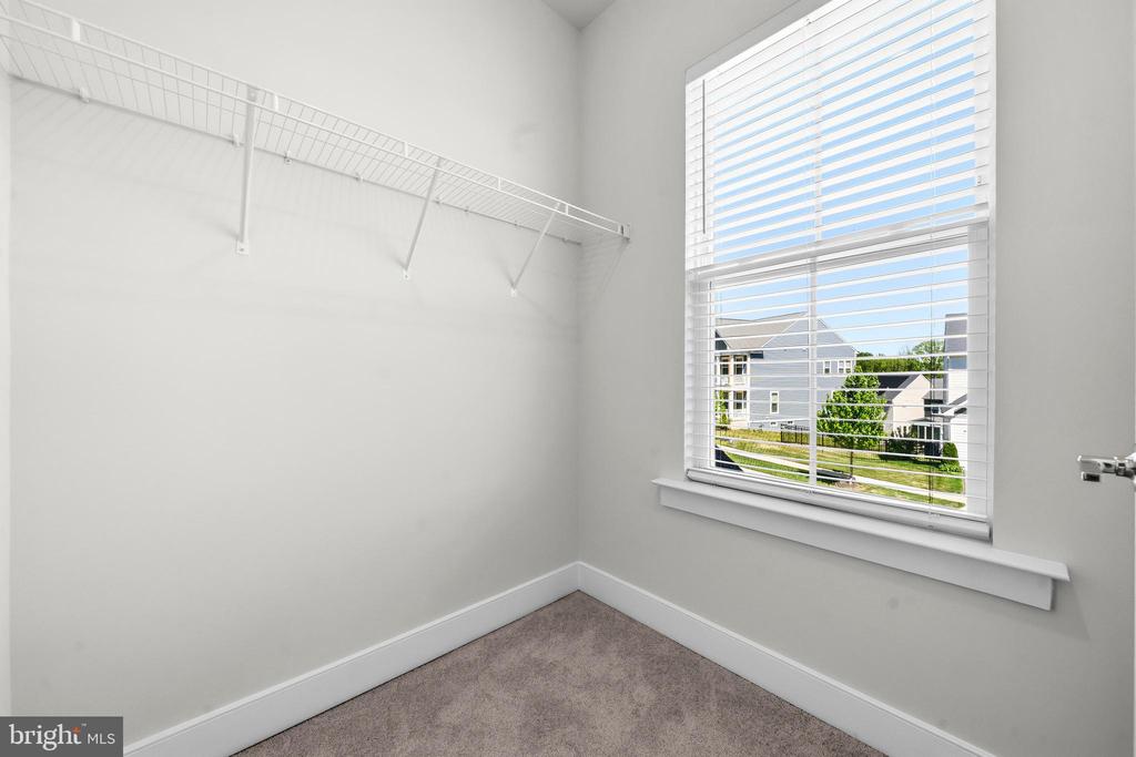 2020 SILVER SYCAMORE LANE