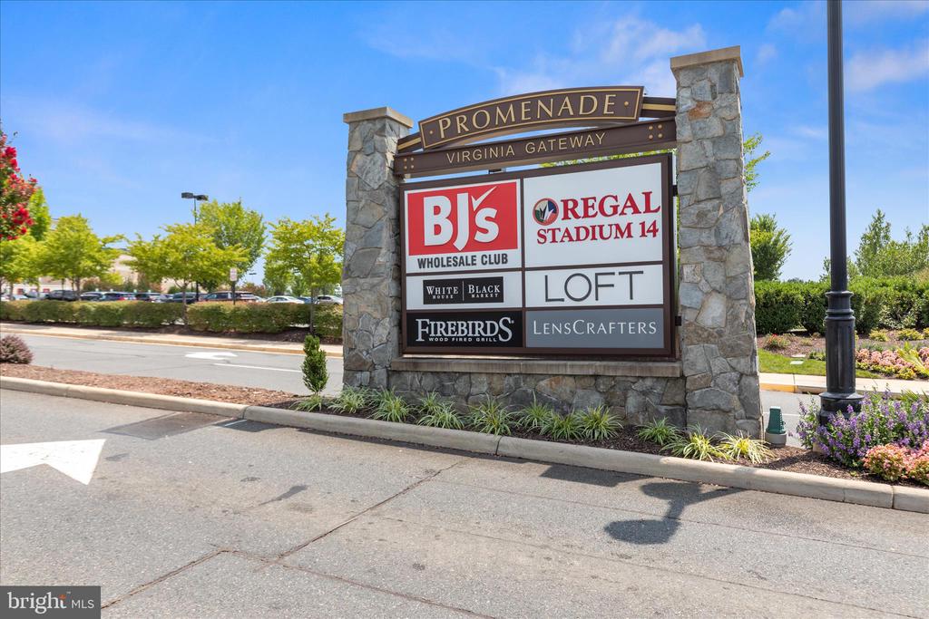 13112 BIGLEAF MAPLE COURT