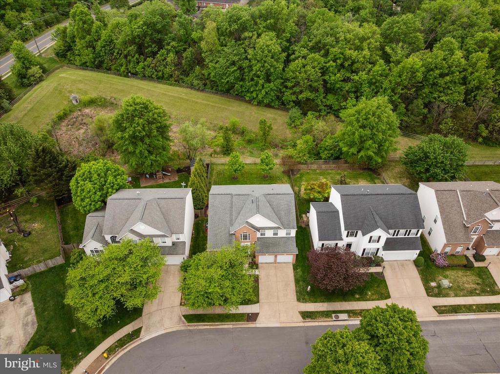13112 BIGLEAF MAPLE COURT