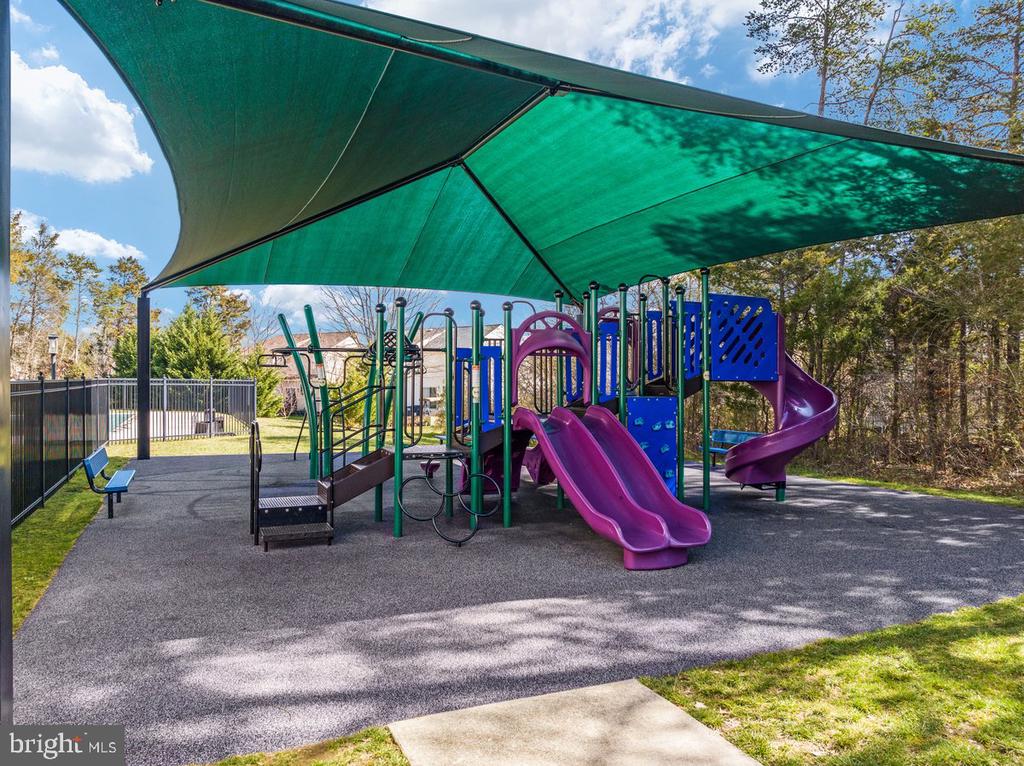 13112 BIGLEAF MAPLE COURT