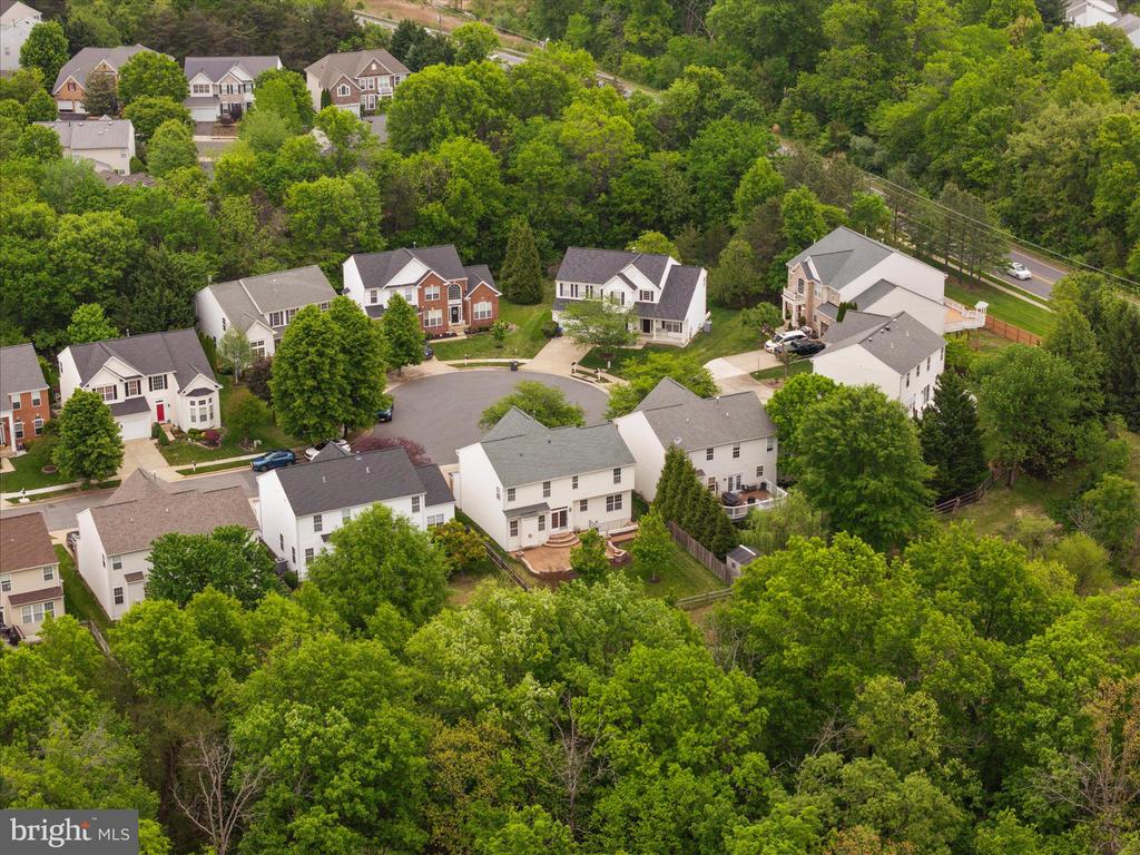 13112 BIGLEAF MAPLE COURT