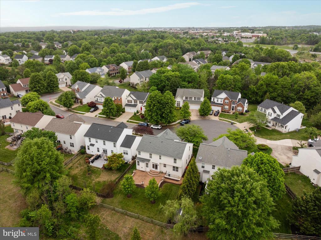 13112 BIGLEAF MAPLE COURT