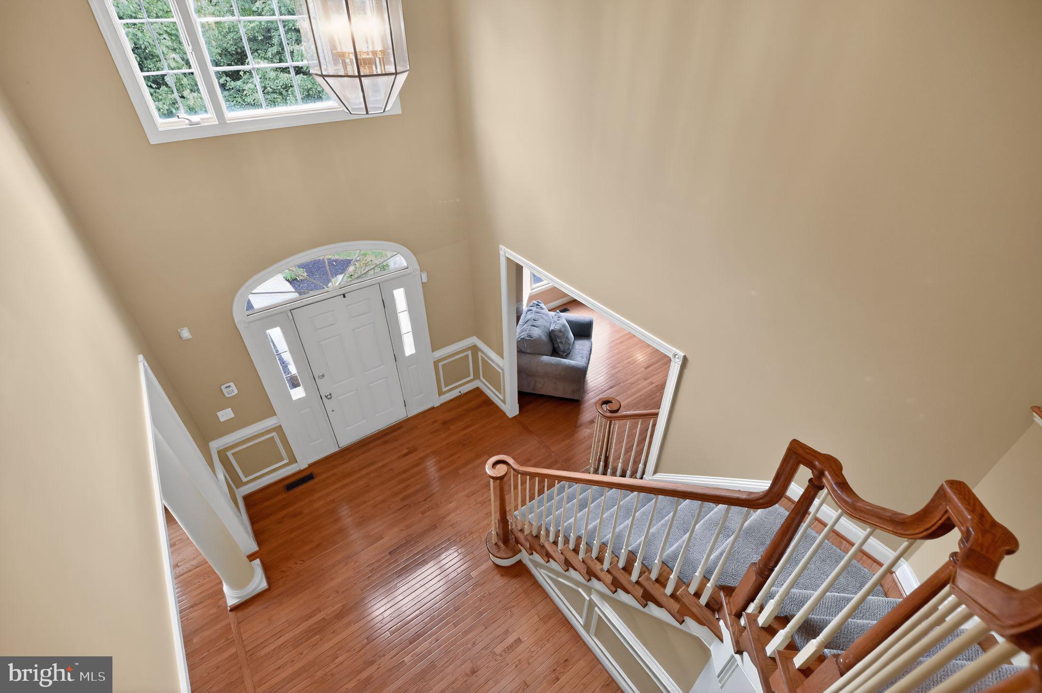 15038 WALKING STICK WAY