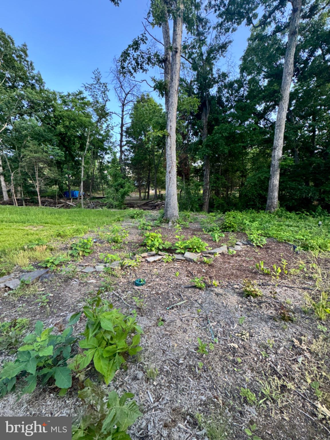 12385 COLD STREAM GUARD COURT