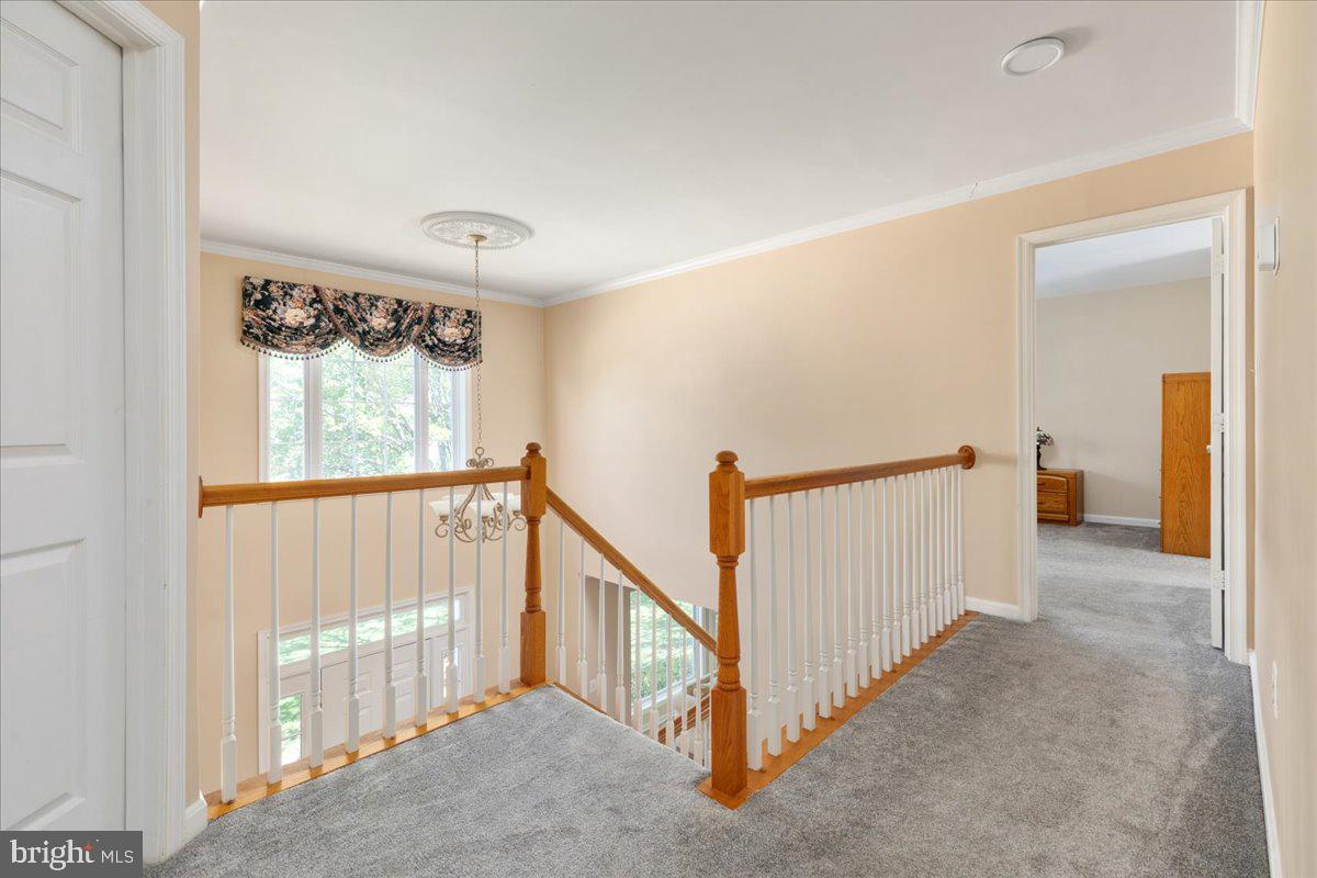 13659 BRIDLEWOOD DRIVE