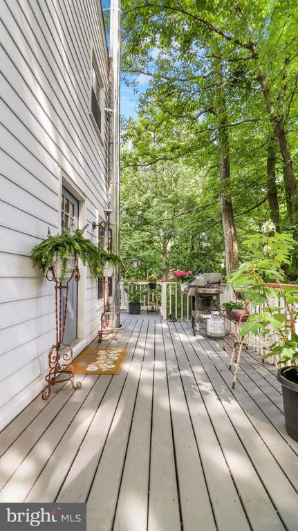 1405 MERCER ROAD