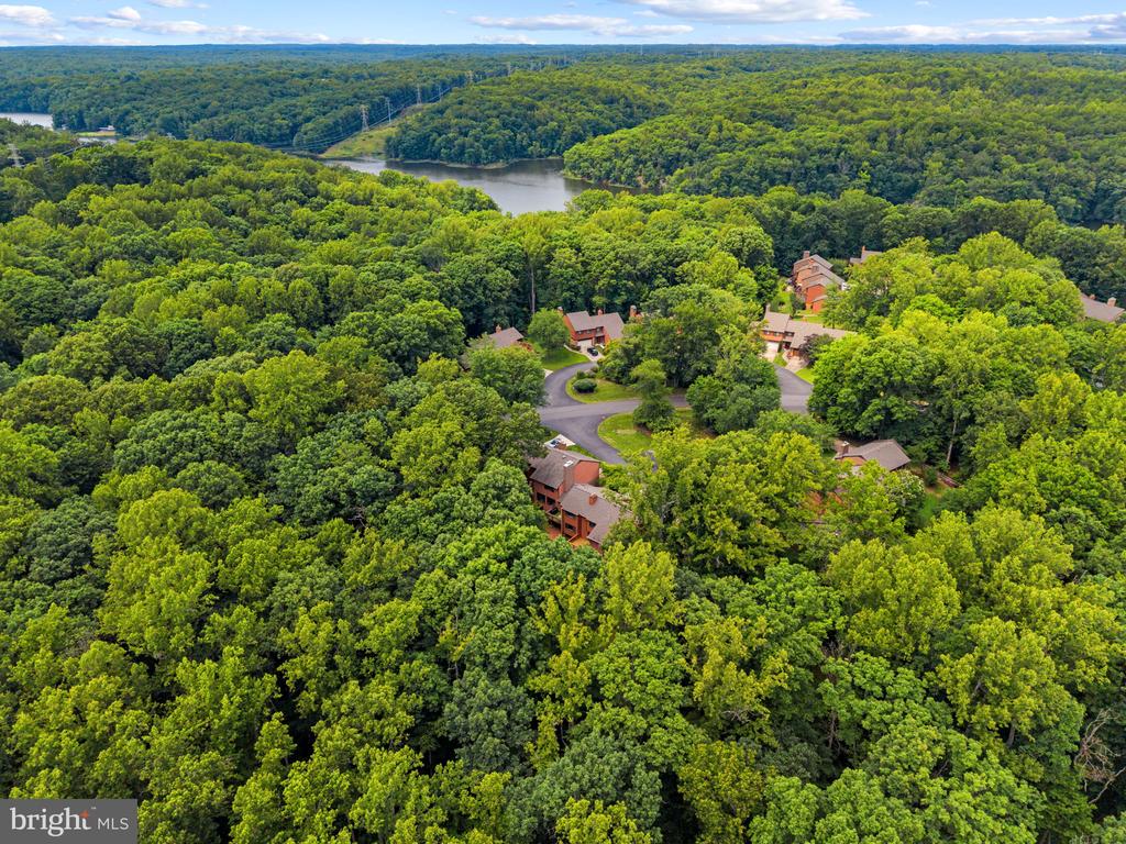 2597 TREE HOUSE DRIVE