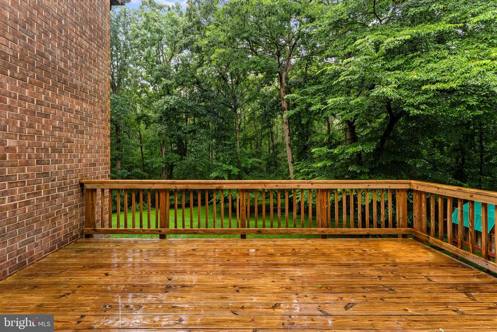 2597 TREE HOUSE DRIVE
