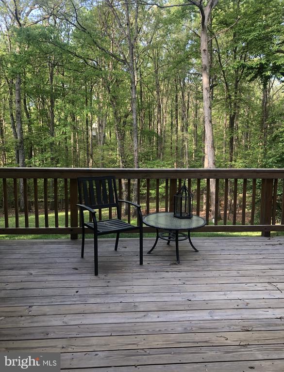2597 TREE HOUSE DRIVE
