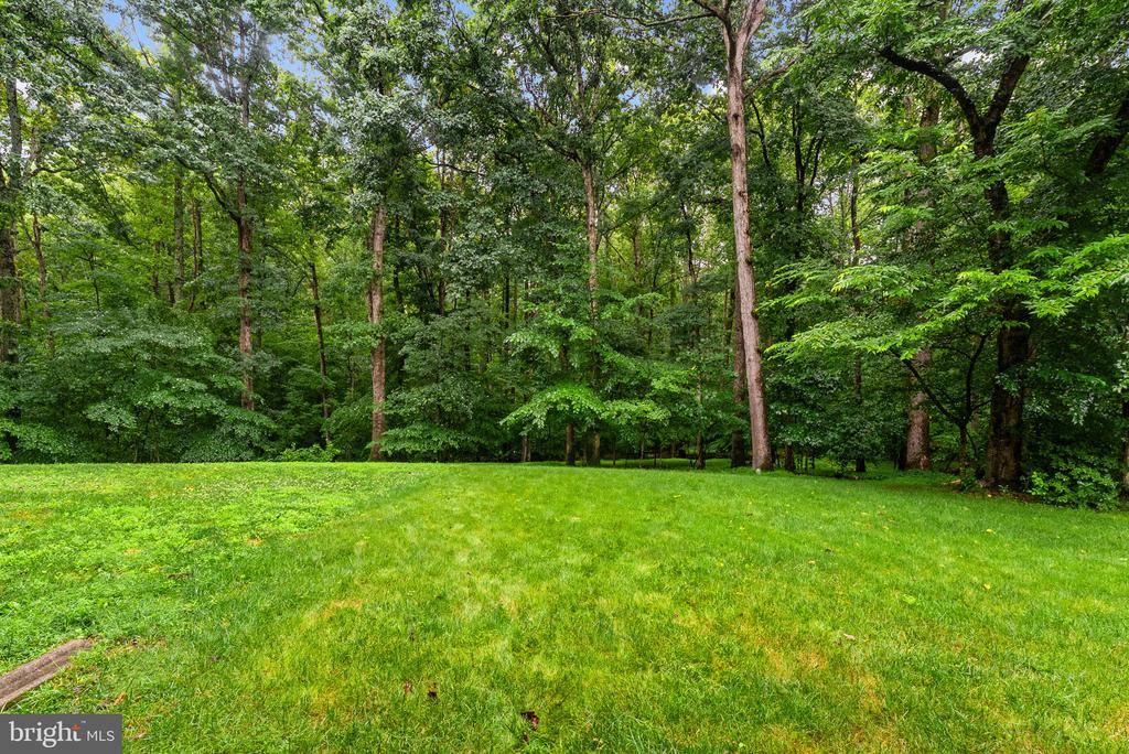 2597 TREE HOUSE DRIVE