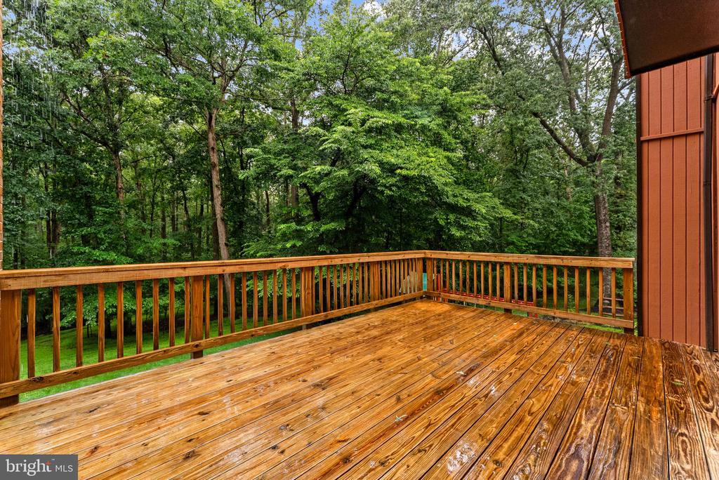 2597 TREE HOUSE DRIVE