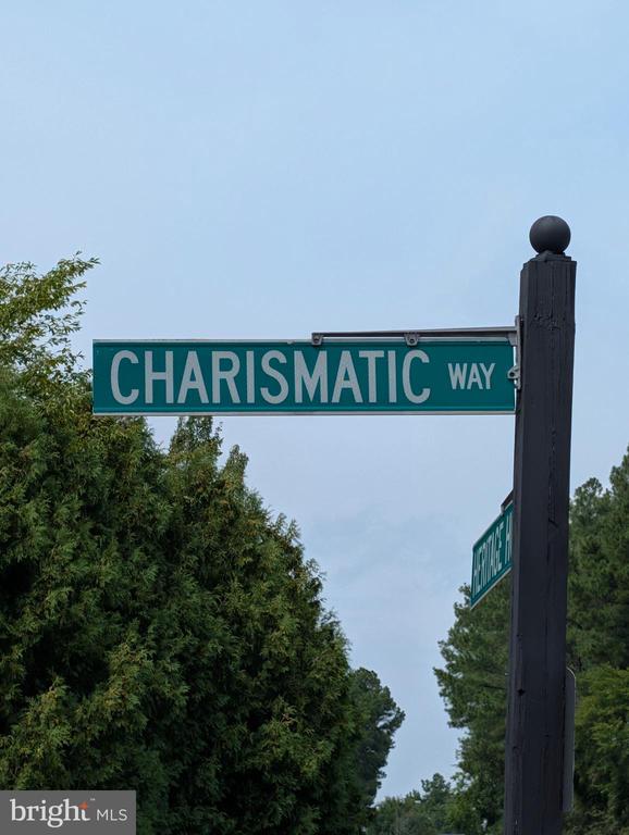 13784 CHARISMATIC WAY