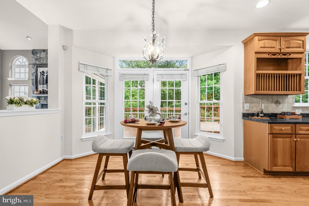 17090 ANNS BROOK COURT