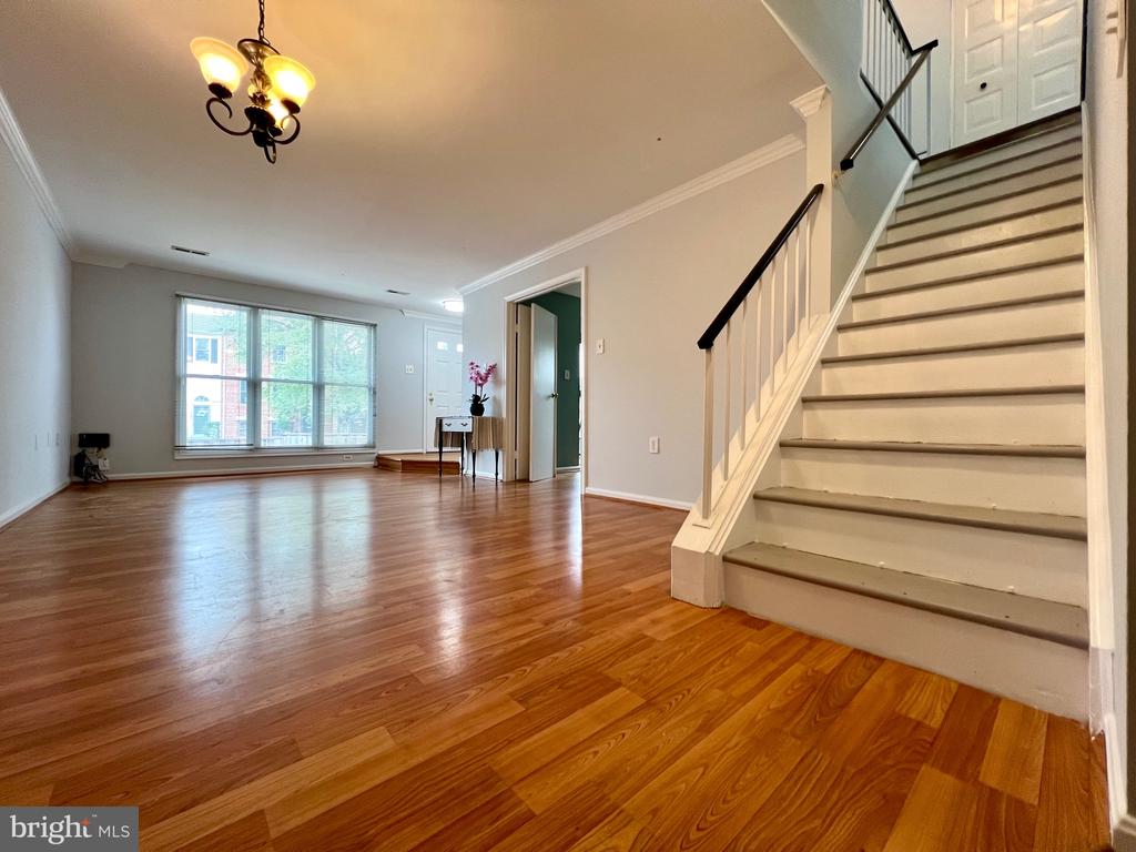 10448 RAPIDAN LANE