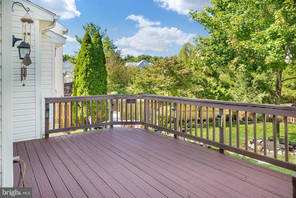 13107 BIGLEAF MAPLE COURT