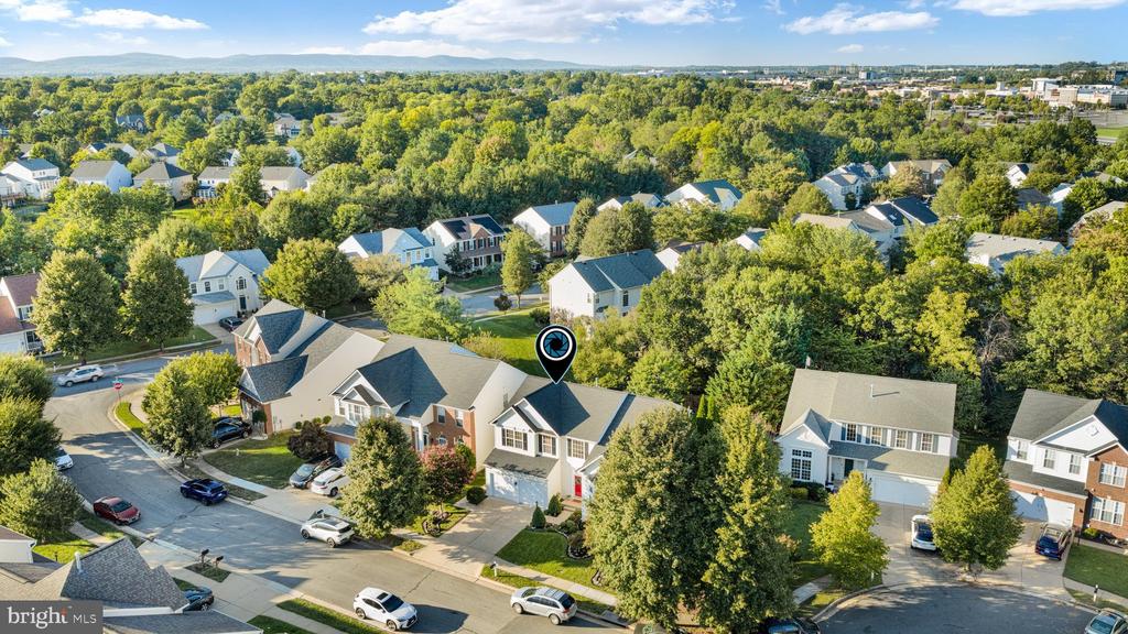 13107 BIGLEAF MAPLE COURT