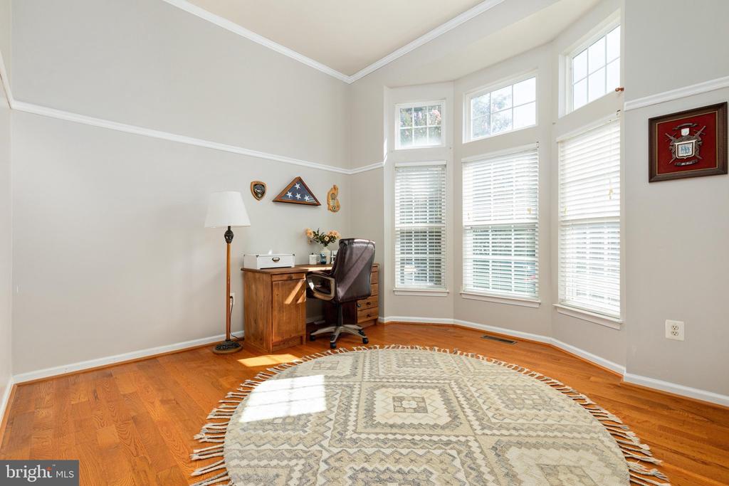13107 BIGLEAF MAPLE COURT
