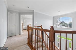 13270 QUERY LANE