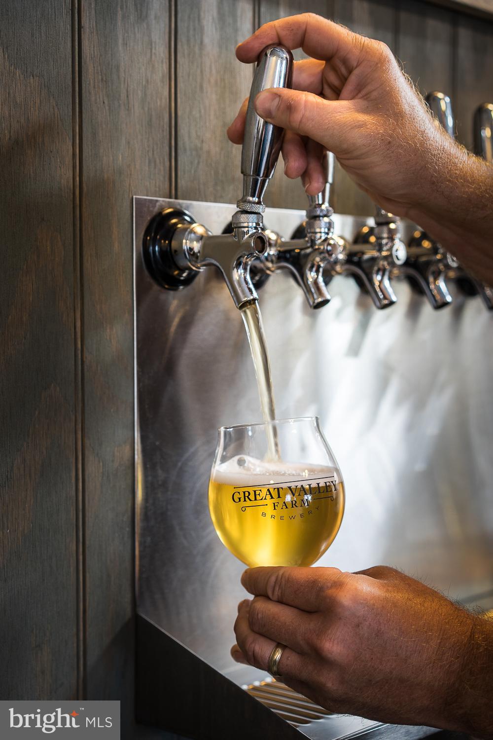 60 GREAT VALLEY LANE