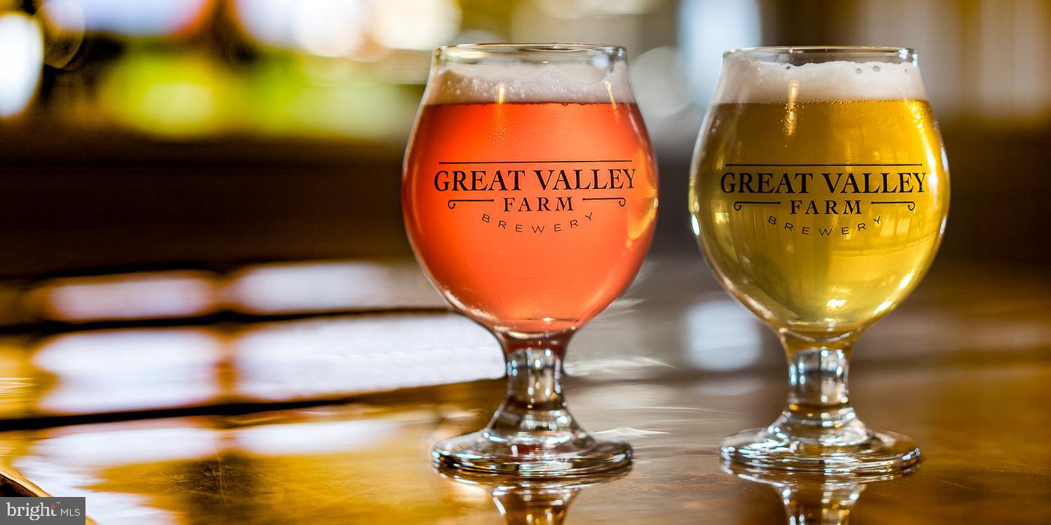60 GREAT VALLEY LANE