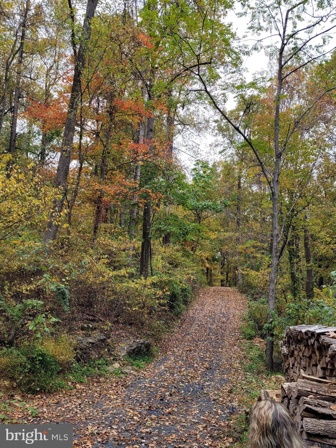 Woodlands Drive