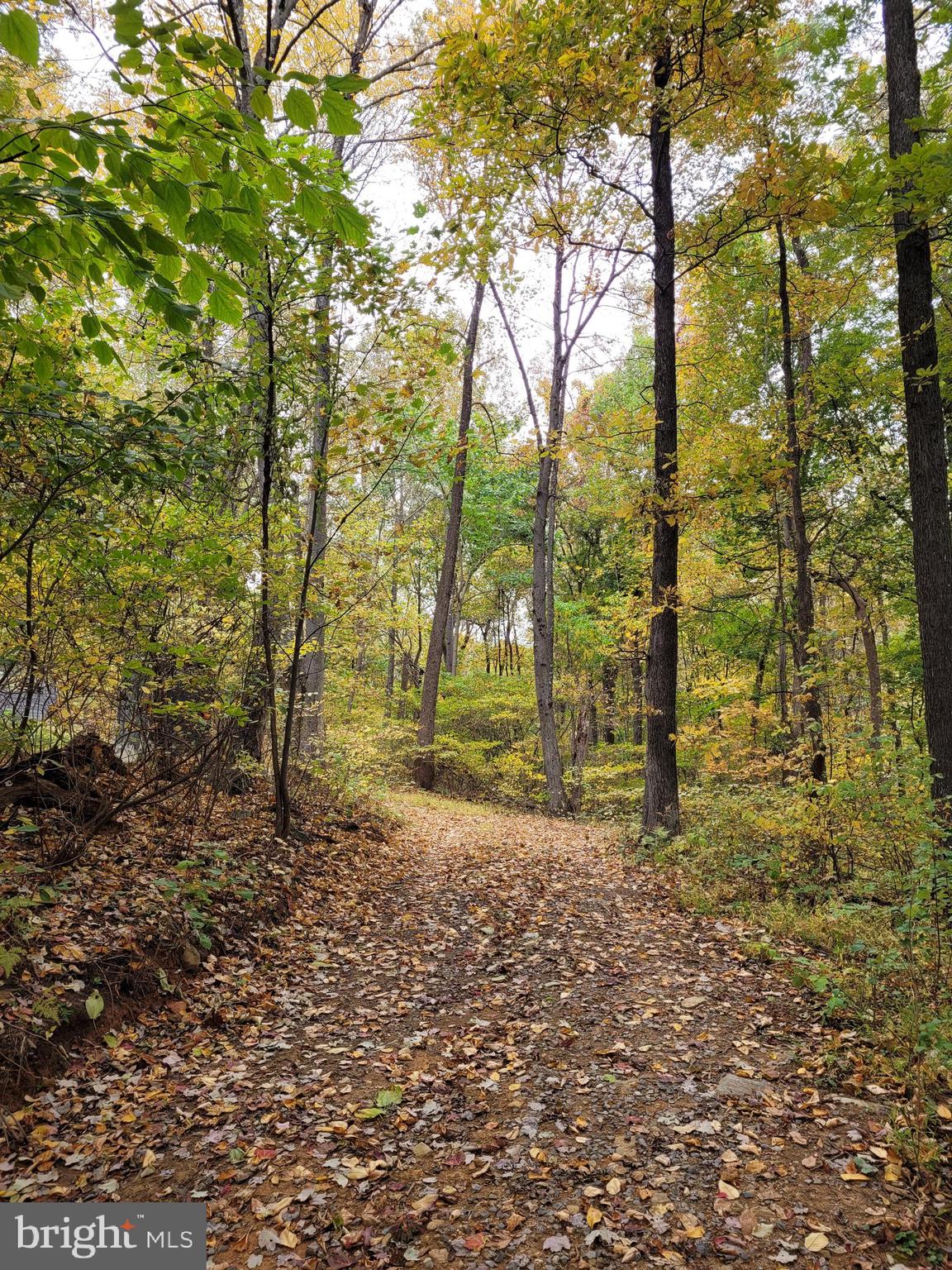 Woodlands Drive