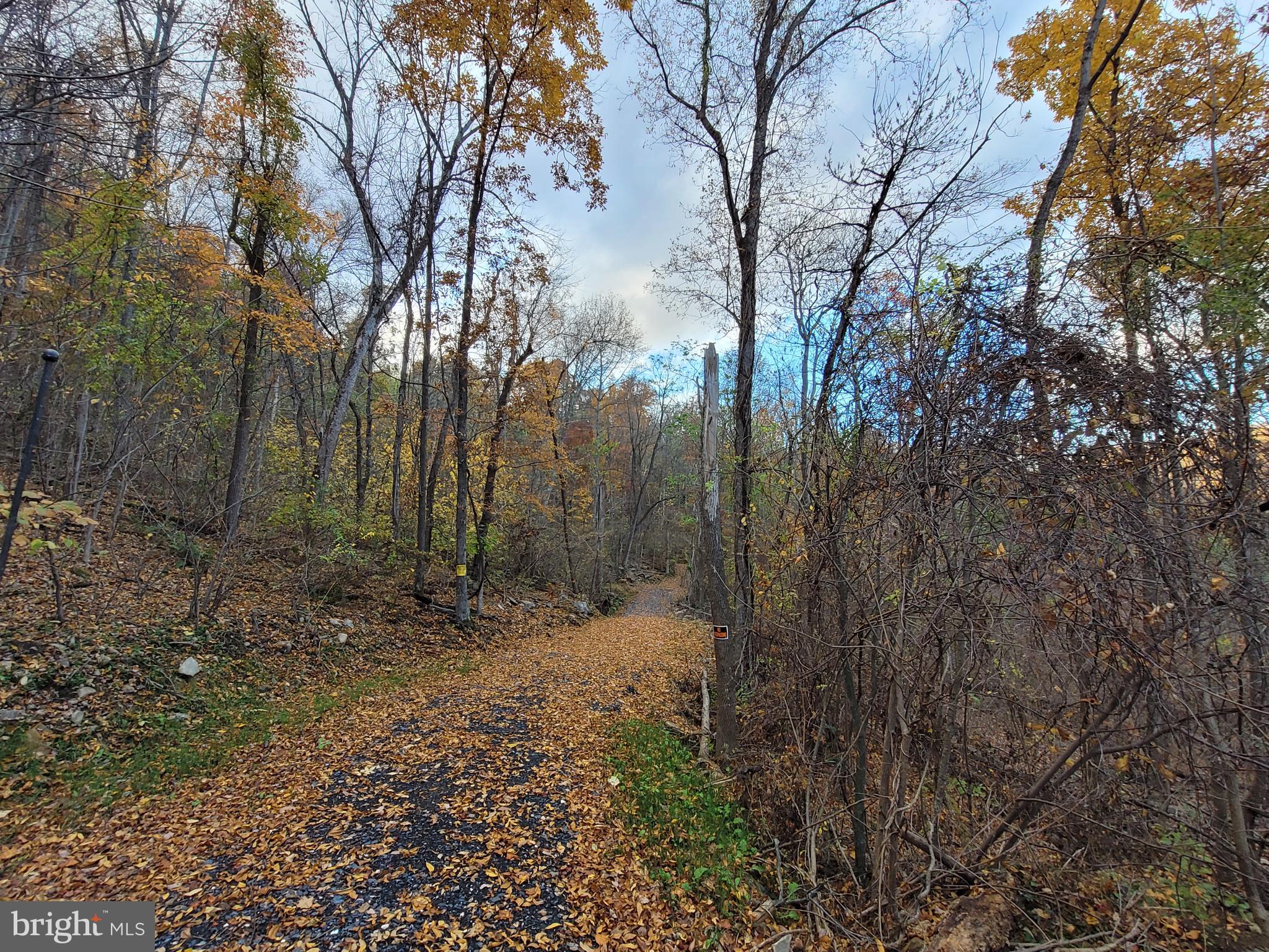 Woodlands Drive