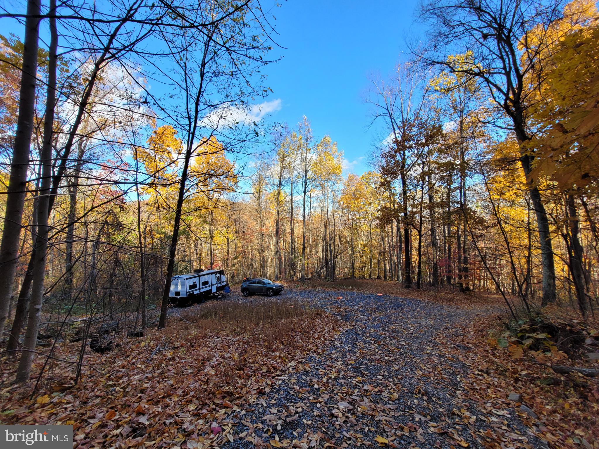 Woodlands Drive