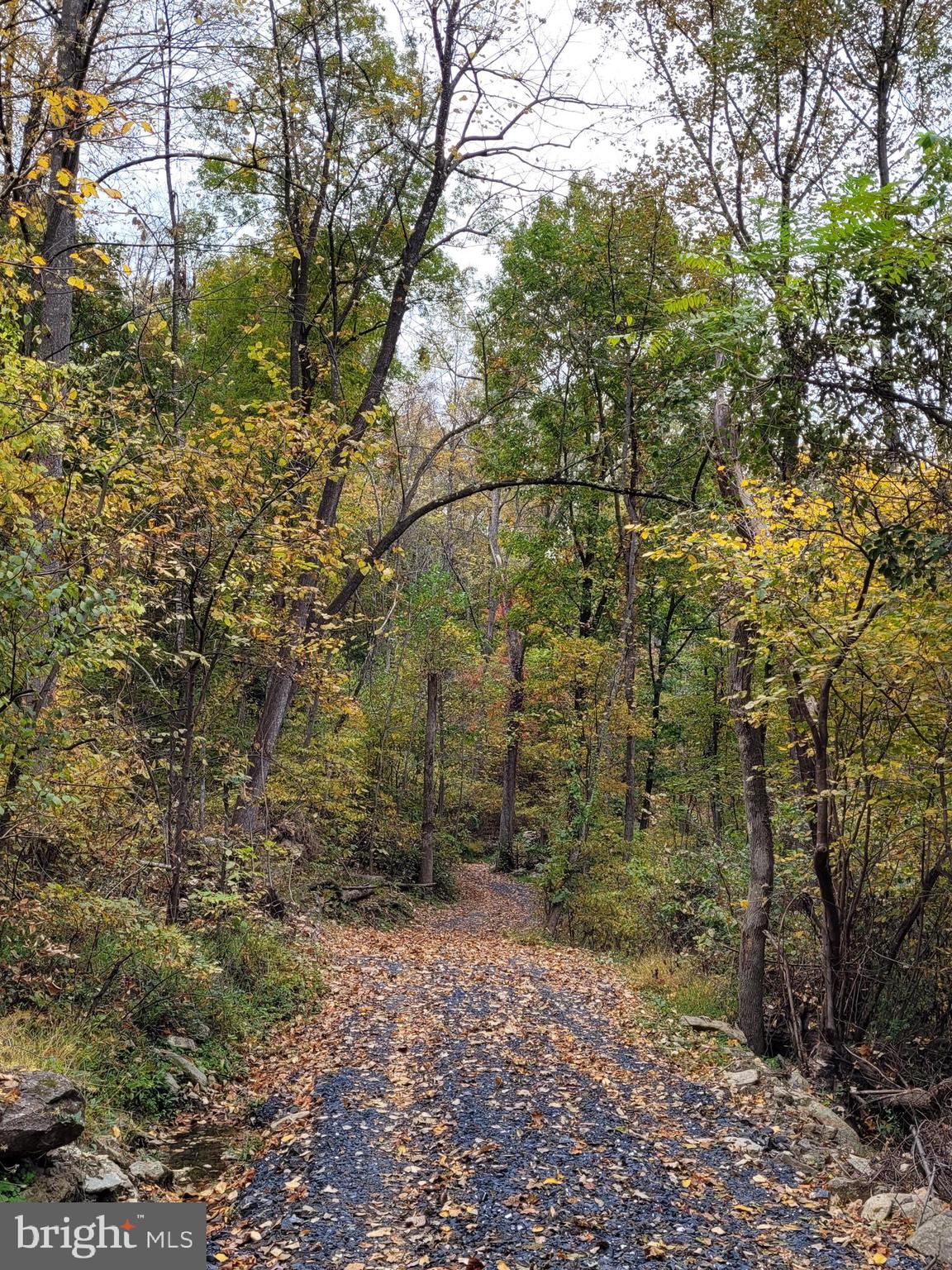Woodlands Drive