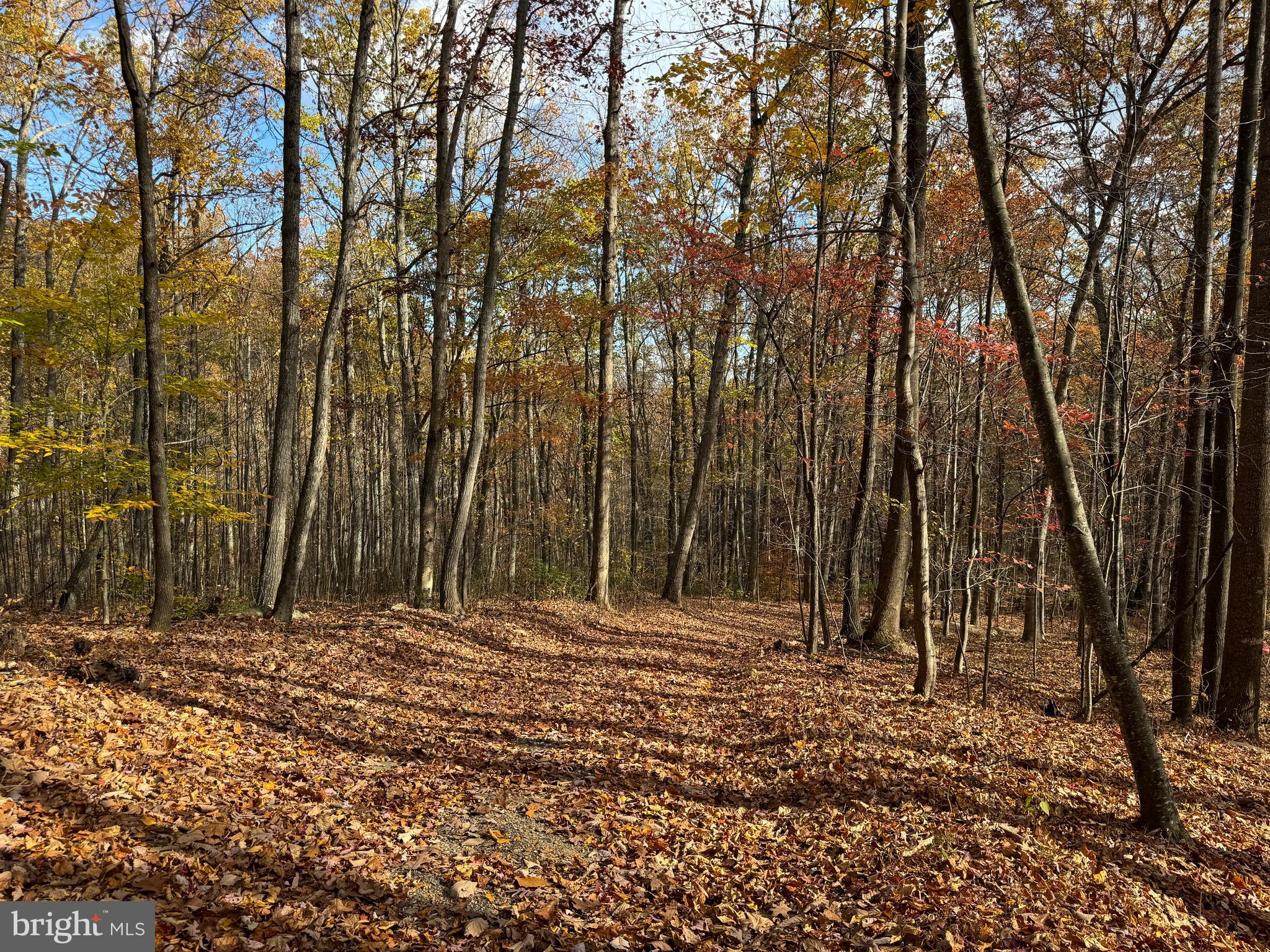 Woodlands Drive