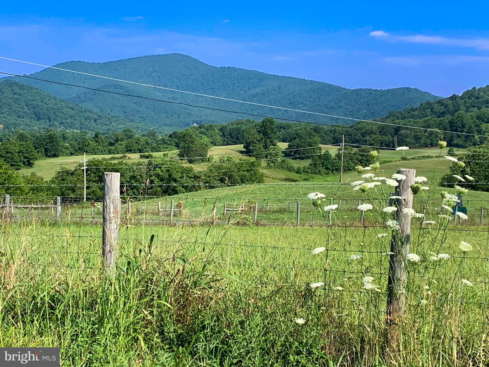 515 MOUNT SALEM AVENUE