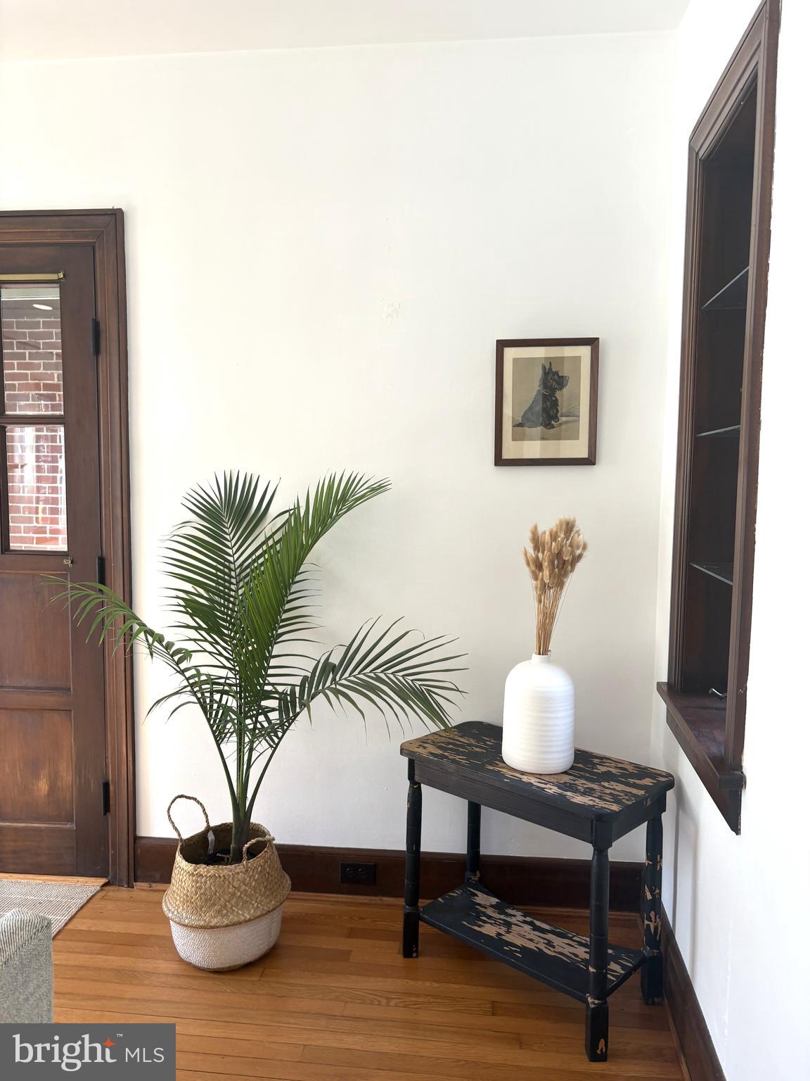 515 MOUNT SALEM AVENUE