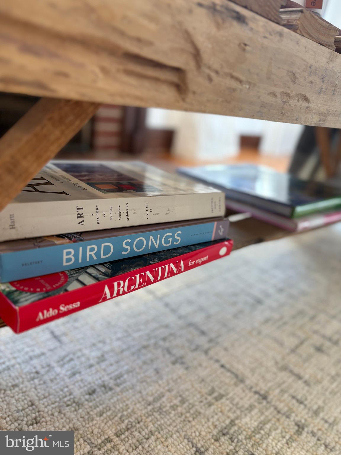 515 MOUNT SALEM AVENUE