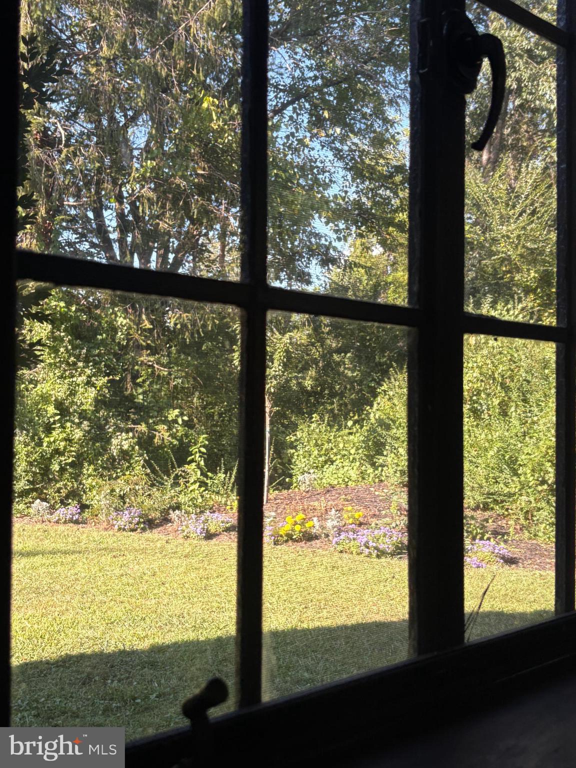 515 MOUNT SALEM AVENUE