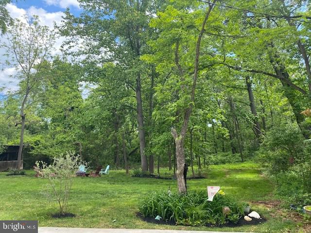 515 MOUNT SALEM AVENUE