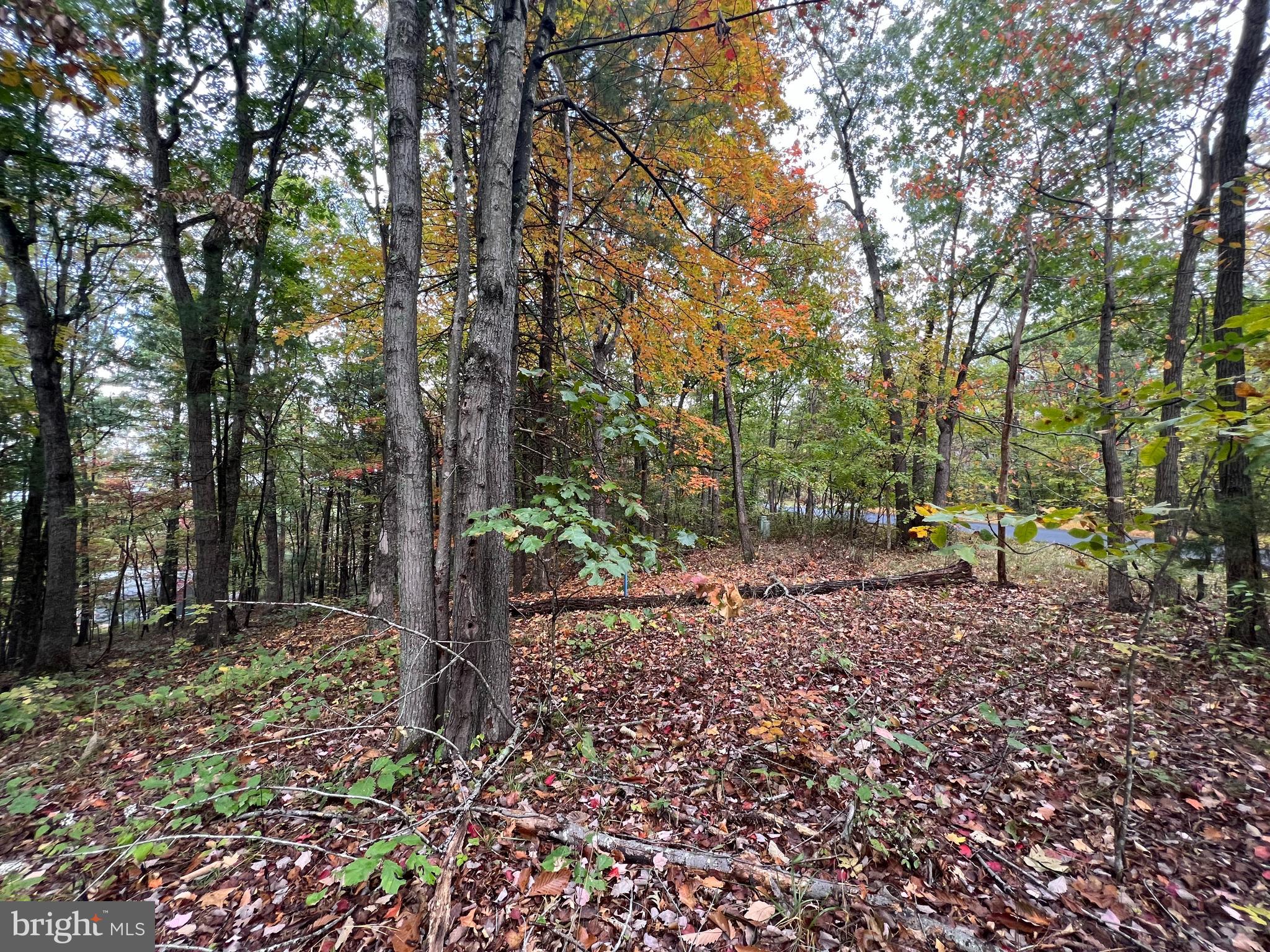 Supinlick Ridge