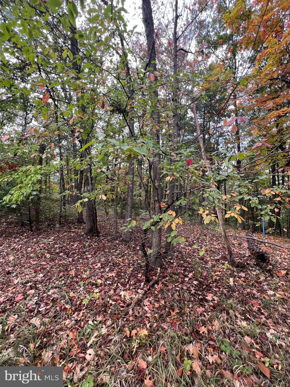 Supinlick Ridge