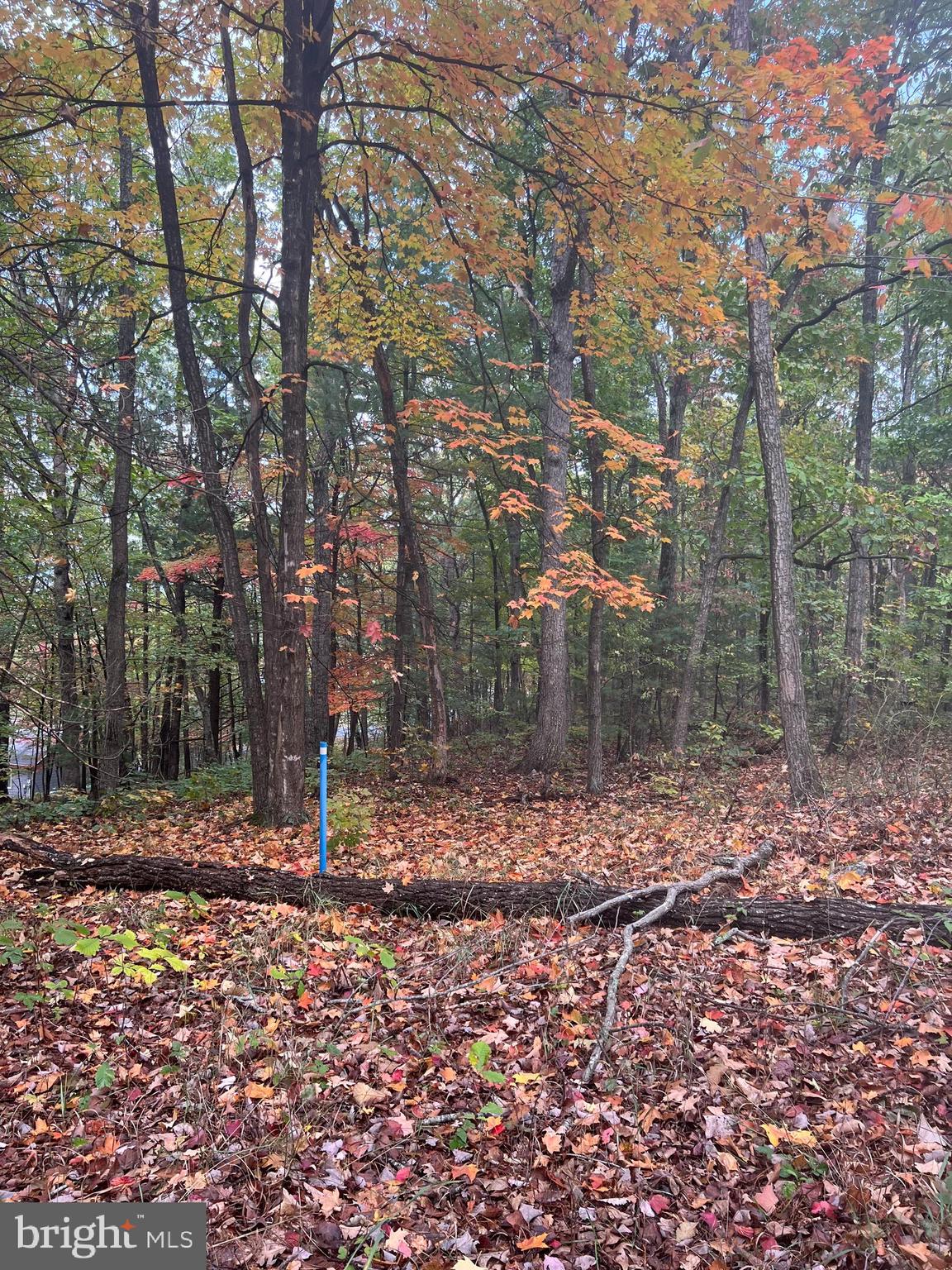 Supinlick Ridge