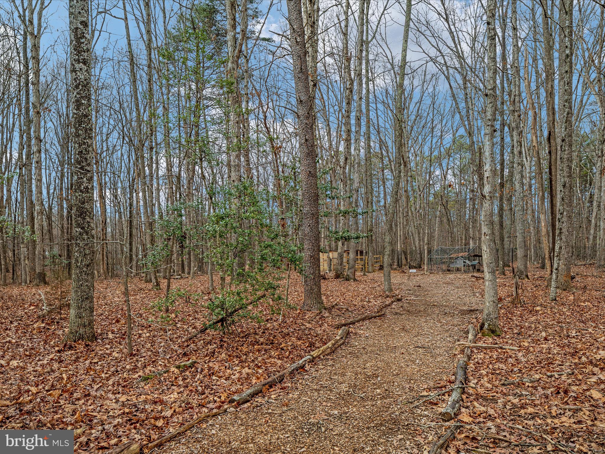 11305 Honor Bridge Farm Ct