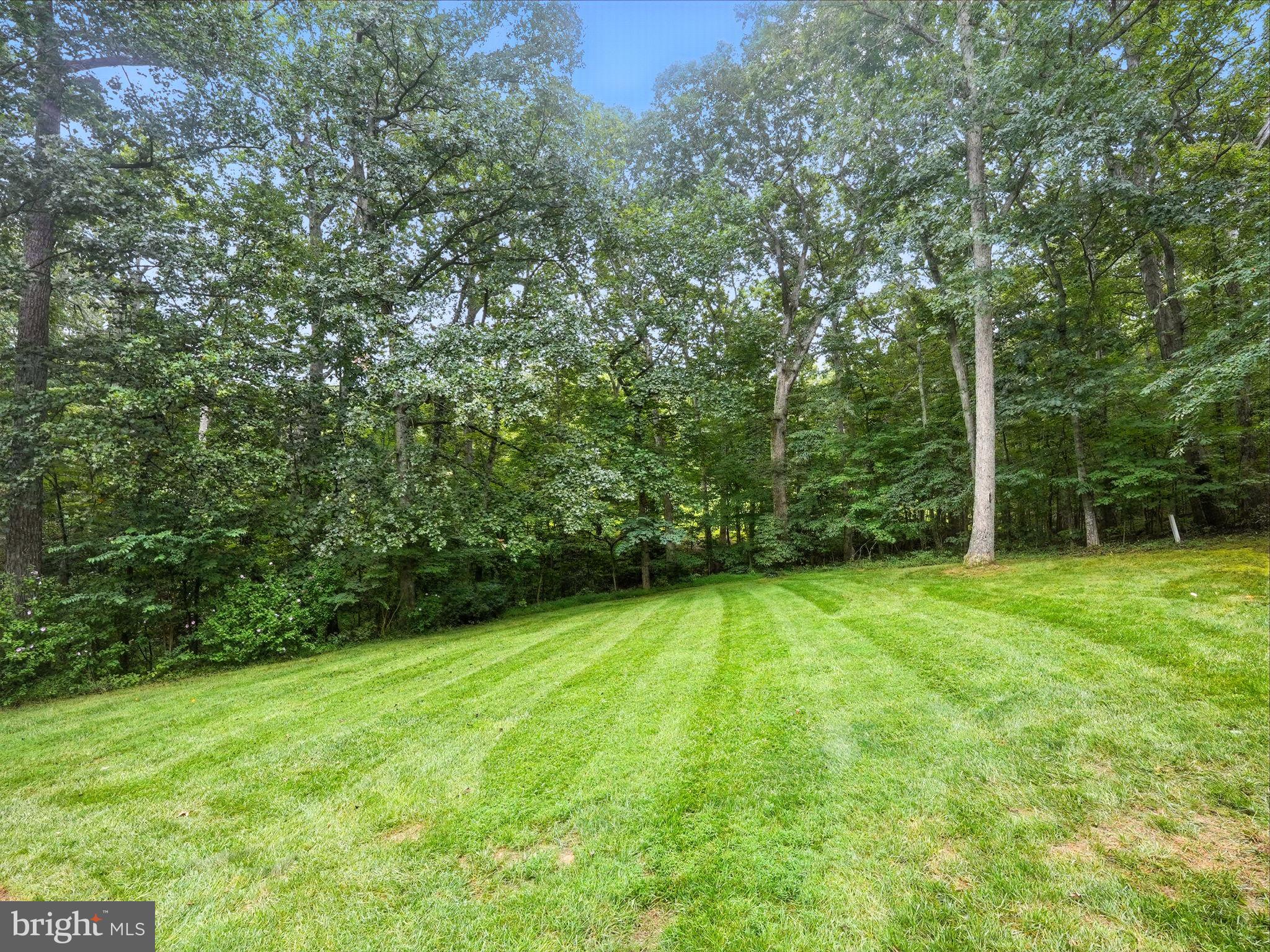 10740 BRIDLEREIN COURT