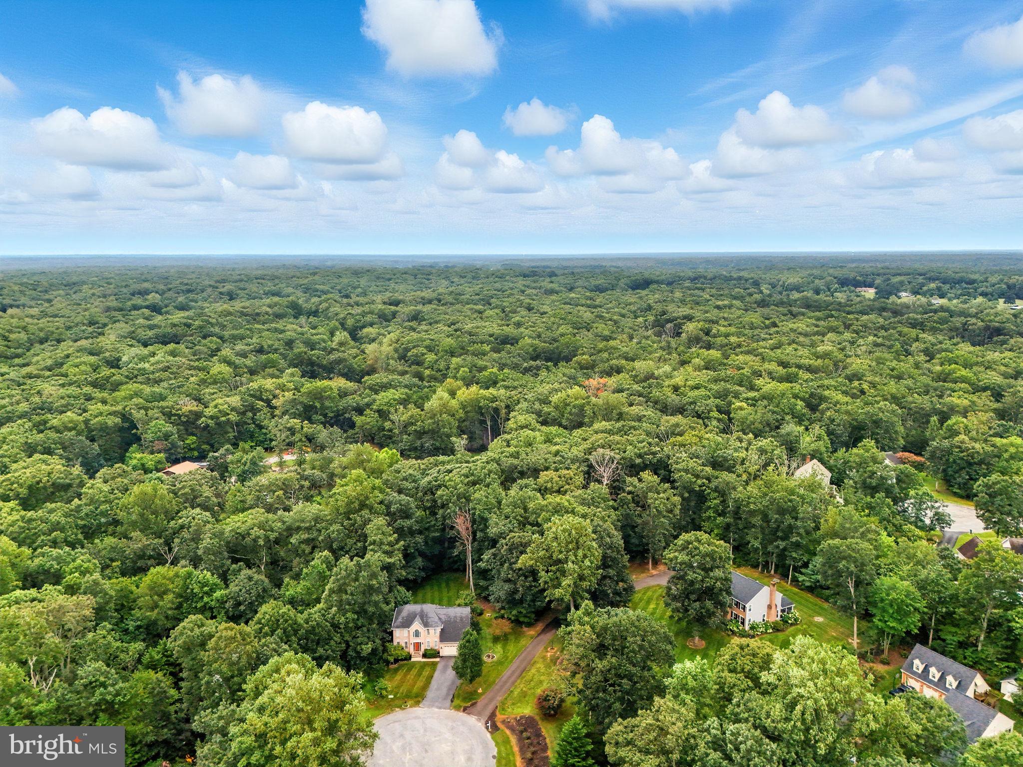 10740 BRIDLEREIN COURT